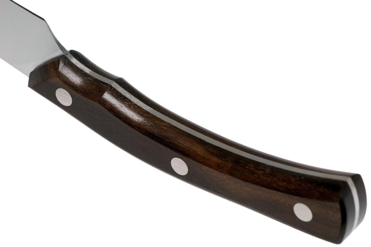 Due Cigni Arne Line Couteau à Steak 11 Cm, Ziricote 4 Due Cigni Arne Line Couteau à Steak 11 Cm, Ziricote - Image 4