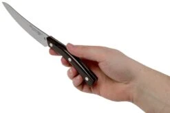 Due Cigni Arne Line Couteau à Steak 11 Cm, Ziricote 11 Due Cigni Arne Line Couteau à Steak 11 Cm, Ziricote -Les Couteaux Soldes DG2C900ZW 06 due cigni arne scaled