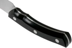 Due Cigni Arne Line Couteau Universel 15 Cm, Noir 9 Due Cigni Arne Line Couteau Universel 15 Cm, Noir -Les Couteaux Soldes DG2C902 04 due cigni arne scaled