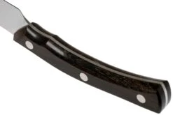 Due Cigni Arne Line Couteau à Steak Dentelé 11 Cm, Ziricote -Les Couteaux Soldes DG2C907ZW 04 due cigni arne scaled