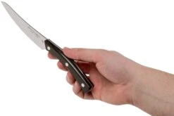 Due Cigni Arne Line Couteau à Steak Dentelé 11 Cm, Ziricote -Les Couteaux Soldes DG2C907ZW 06 due cigni arne scaled