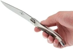 Forge De Laguiole, T22MINCFBRI, Corne De Cerf 13 Forge De Laguiole, T22MINCFBRI, Corne De Cerf -Les Couteaux Soldes LAT22MINCFBRI 07 forge de laguiole steakmesset lat22mincfbri 07