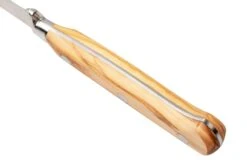 Maserin Apollo Olive 2411-OL Set De Deux Couteaux à Steak 8 Maserin Apollo Olive 2411-OL Set De Deux Couteaux à Steak -Les Couteaux Soldes ME2411 OL 04 maserin scaled