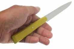 Opinel T001533, Set De Couteaux à Steak, Esprit Campagne 7 Opinel T001533, Set De Couteaux à Steak, Esprit Campagne -Les Couteaux Soldes OPT001533 04 opinel tafelmesset esprit campagne opt001533 d4