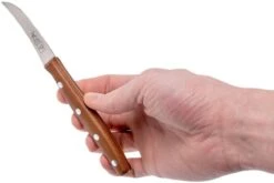 Robert Herder K0 Couteau Bec D'oiseau Prunier & Acier Inoxydable, 9731166504 -Les Couteaux Soldes RH9731166504 06 robert herder rh9731166504 06