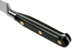 Lion Sabatier Idéal Couteau D'office 10 Cm, 711080 8 Lion Sabatier Idéal Couteau D'office 10 Cm, 711080 -Les Couteaux Soldes SA1372 04 04 lion sabatier v202006 scaled