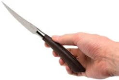 Saladini Ensemble 6 Pièces Couteaux à Steak 23 Cm, Wenge 13 Saladini Ensemble 6 Pièces Couteaux à Steak 23 Cm, Wenge -Les Couteaux Soldes SL4001PW6 07 saladini sl4001pw6 07