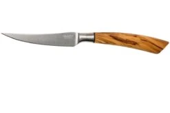 Saladini Ensemble 6 Pièces Couteaux à Steak 23 Cm, Ensemble Cadeau -Les Couteaux Soldes SL4001VL6 03 saladini sl4001vl6 03