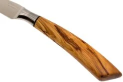 Saladini Ensemble 6 Pièces Couteaux à Steak 23 Cm, Ensemble Cadeau -Les Couteaux Soldes SL4001VL6 06 saladini sl4001vl6 06