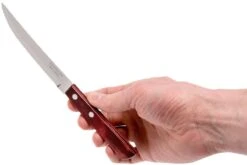 Tramontina Churrasco Set De 12 Couverts à Steak, 29899-219 -Les Couteaux Soldes TC29899 219 04 tramontina churasso tc29899 219 04