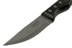 Tramontina Churrasco Jumbo 92000-003, Set De 2 Couverts à Steak -Les Couteaux Soldes TC92000 003 03 landhaus scaled