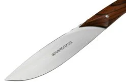 Viper Fiorentina VT7500-02CB Bois De Cocobolo, Set De 2 Couteaux à Steak -Les Couteaux Soldes VPVT7500 02CB 03 viper scaled