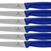 Victorinox SwissClassic 6.7232.6, Set De 6 Couteaux à Steak, Bleu