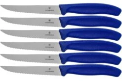 Victorinox SwissClassic 6.7232.6, Set De 6 Couteaux à Steak, Bleu