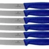 Victorinox SwissClassic 6.7832.6, Set De 6 Couteaux à Tomates Et Couteaux De Table, Bleu