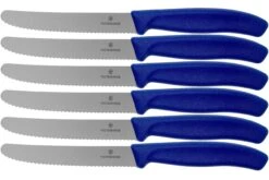 Victorinox SwissClassic 6.7832.6, Set De 6 Couteaux à Tomates Et Couteaux De Table, Bleu