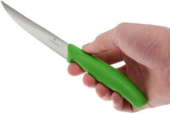 Victorinox SwissClassic Couteaux à Steak/pizza Vert, Set De 2, 6.7936.12L4B 7 Victorinox SwissClassic Couteaux à Steak/pizza Vert, Set De 2, 6.7936.12L4B -Les Couteaux Soldes VT6 7936 12L4B 04 victorinox steakmes groen vt vt6 7936 12l4b 04