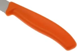 Victorinox SwissClassic Couteaux à Steak/pizza Orange Set De 2 6.7936.12L9B -Les Couteaux Soldes VT6 7936 12L9B 03 victorinox steakmes oranje vt vt6 7936 12l9b 03