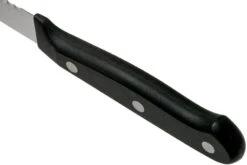 Wüsthof Gourmet Couteau à Tomates 12 Cm, 1025048012 12 Wüsthof Gourmet Couteau à Tomates 12 Cm, 1025048012 -Les Couteaux Soldes WU1025048012 04 wusthof v202101 scaled