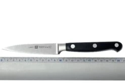 Zwilling - Professional « S » Couteau à Larder Et à Garnir 10 Cm -Les Couteaux Soldes ZW31020 100 04 zwilling 31020 10 officemes d4